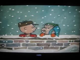 Charlie Brown and Linus.